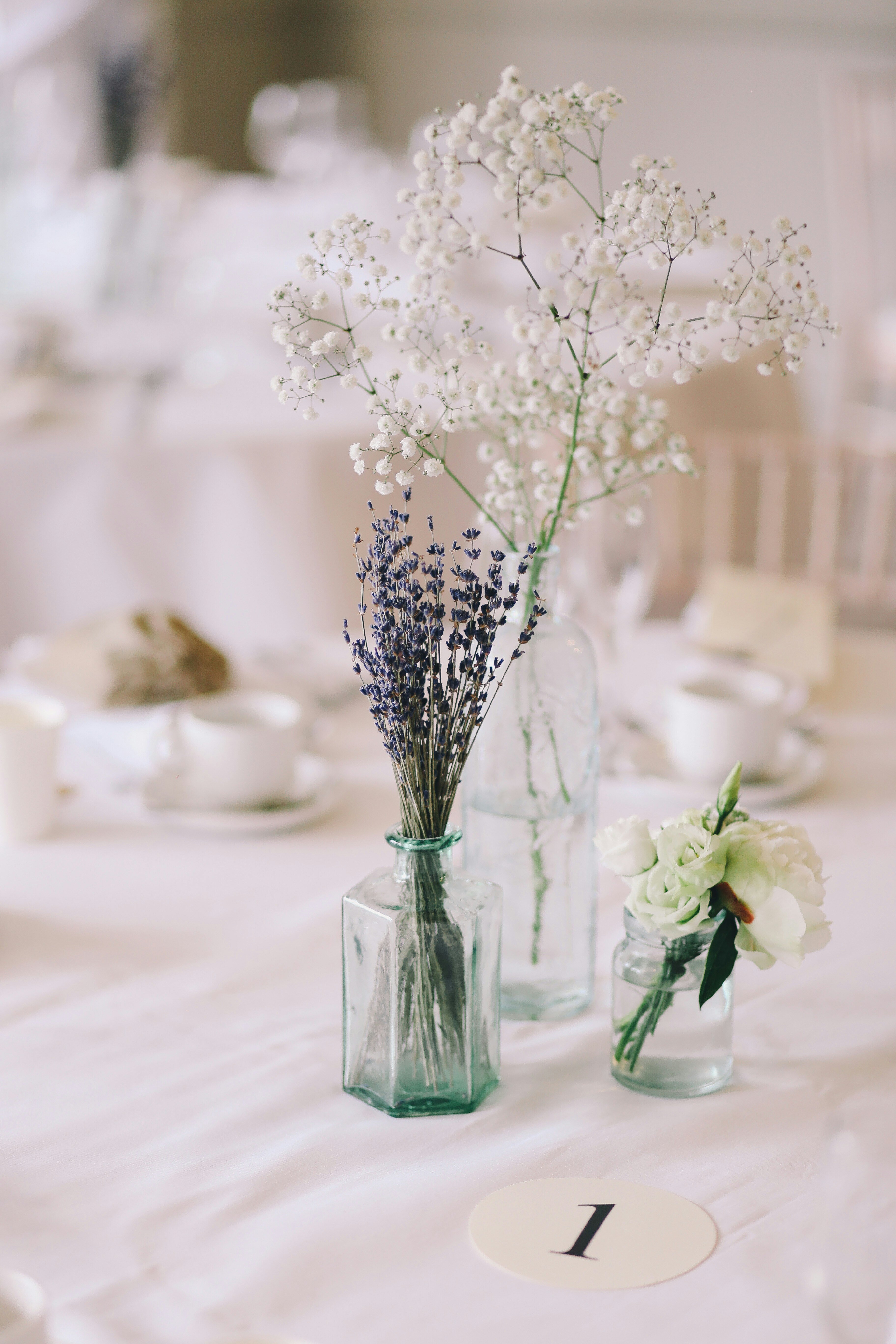 photos-by-lanty-8GtqUWGMRRw-unsplash
